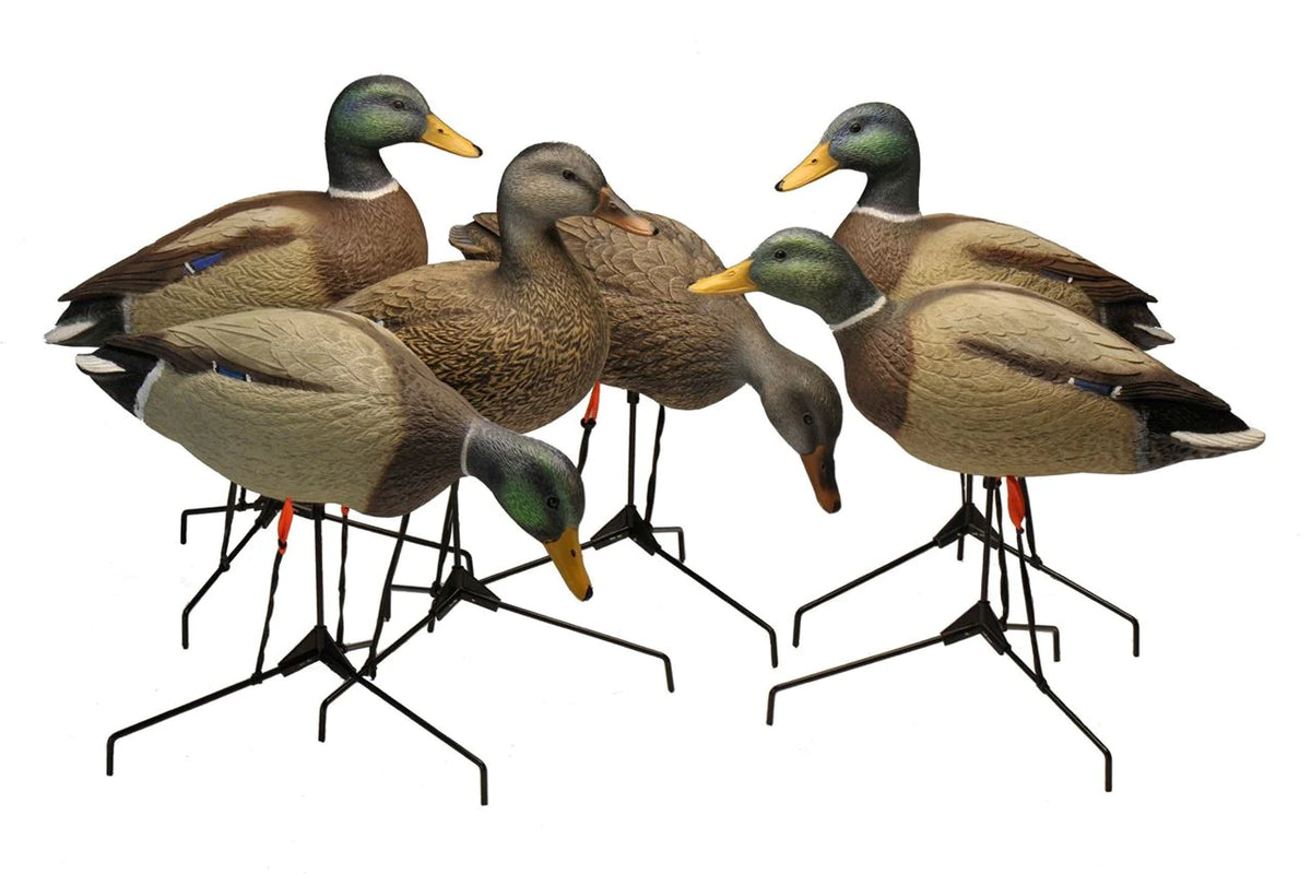 Bigfoot™ Motion Field Mallards 12 Pk. + 12-slot decoy bag – BigFoot Decoys