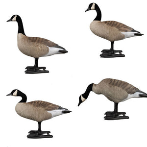 B2™ Canada 1-piece Variety Decoys 4 Pk.