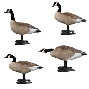 B2™ Canada Fully Flocked Variety Decoys 4 Pk.